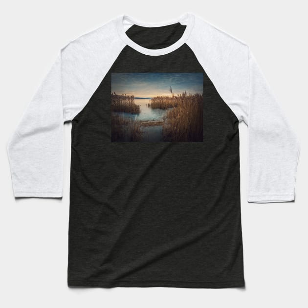 Dry reed in the frozen lake Baseball T-Shirt by psychoshadow